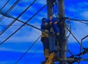 Tokoh Masyarakat Ini Minta Tewasnya Pekerja PLN di Buntok di Investigasi Medalam Tokoh Masyarakat Ini Minta Tewasnya Pekerja PLN di Buntok di Investigasi Medalam