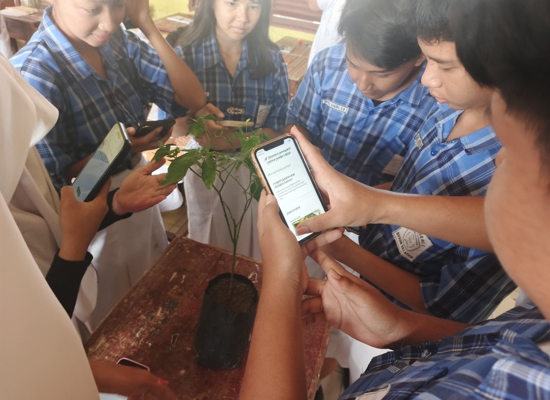 Murid SMPN 1 Dusun Selatan Ciptakan Sistem Deteksi Penyakit Cabai Berbasis AI Screenshot 2026 08 08 20 50 13 04 6012fa4d4ddec268fc5c7112cbb265e7