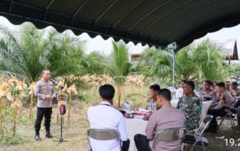 Dukung Asta Cita Presiden RI, Kapolres Barsel Pimpin Panen Jagung di Lahan Kemitraan Polri Screenshot 2025 11 11 20 07 20 21 6012fa4d4ddec268fc5c7112cbb265e7