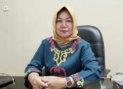 Realisasi PAD Barito Selatan capai 27,16 persen