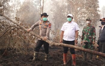 Kapolres dan Wabup Barsel Turun Langsung Padamkan Karhutla di Jalan Letter S Kapolres dan Wabup Barsel Turun Langsung Padamkan Karhutla di Jalan Letter S