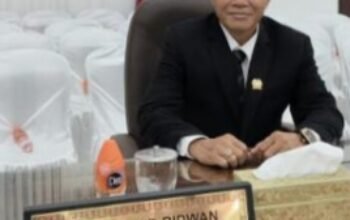 PLN Mulai Bergerak, Warga Mangkatip Segera Nikmati Listrik 24 Jam PLN Mulai Bergerak, Warga Mangkatip Segera Nikmati Listrik 24 Jam
