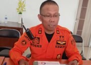 Karhutla Masih Mengkhawatirkan, BPBD Barsel Siap Perpanjang Status Tanggap Darurat