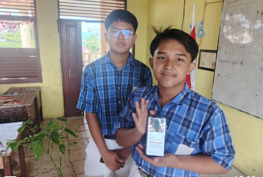 Murid SMPN 1 Dusun Selatan Ciptakan Sistem Deteksi Penyakit Cabai Berbasis AI Screenshot 2026 08 08 20 19 39 49 6012fa4d4ddec268fc5c7112cbb265e7