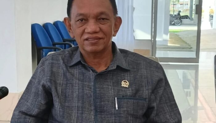 DPRD Barsel Apresiasi Kesigapan Pemda dan Aparat Tangani Karhutla
