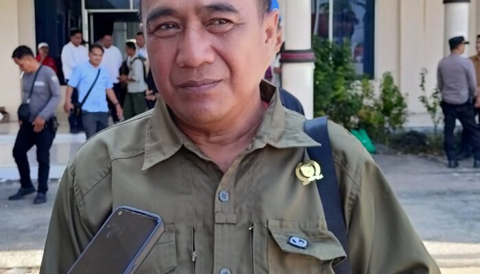 DPRD Barsel Minta Pencairan BTT Karhutla Tak Dipersulit