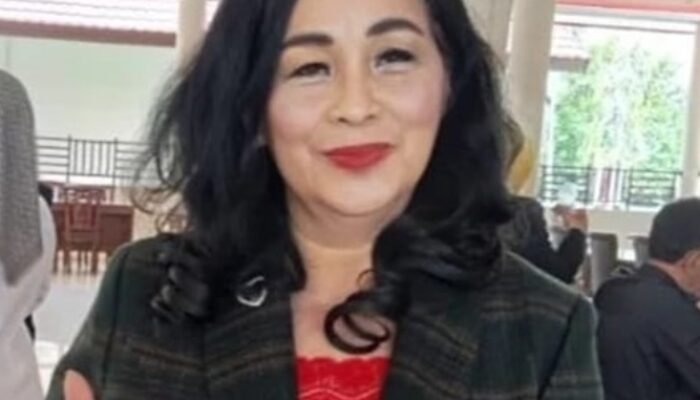 DPRD Barsel Minta Semua Pihak Berperan Atasi Karhutla