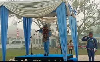 Gubernur Kalteng Perintahkan Pemda dan Perusahaan Perketat Penanganan Karhutla