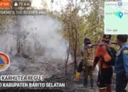 Berjibaku Menjinakkan Api, Menjaga Barsel dari Kepungan Karhutla