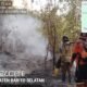 Berjibaku Menjinakkan Api, Menjaga Barsel dari Kepungan Karhutla