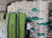 Stok Beras Bulog Barsel Aman hingga Desember, SPHP Rp56.500 per 5 Kilogram