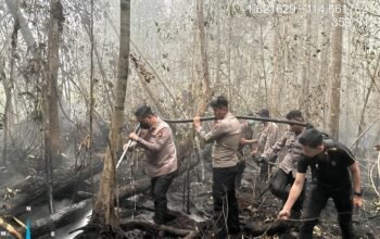 Kapolres Barsel Pimpin Pendinginan Lahan Gambut di Madara dan Kalahien, Cegah Karhutla Kembali Meluas Kapolres Barsel Pimpin Pendinginan Lahan Gambut di Madara dan Kalahien, Cegah Karhutla Kembali Meluas