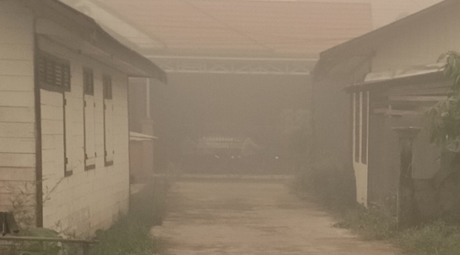 Asap Karhutla Makin Pekat, Lisawanto Imbau Warga Barsel Kurangi Aktivitas di Luar Rumah IMG 20261009 161019