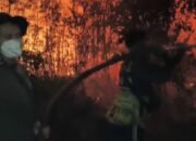 Karhutla Masih Membara, Kabut Asap Buntok Makin Tebal