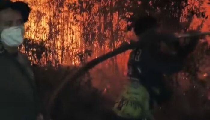 Karhutla Masih Membara, Kabut Asap Buntok Makin Tebal