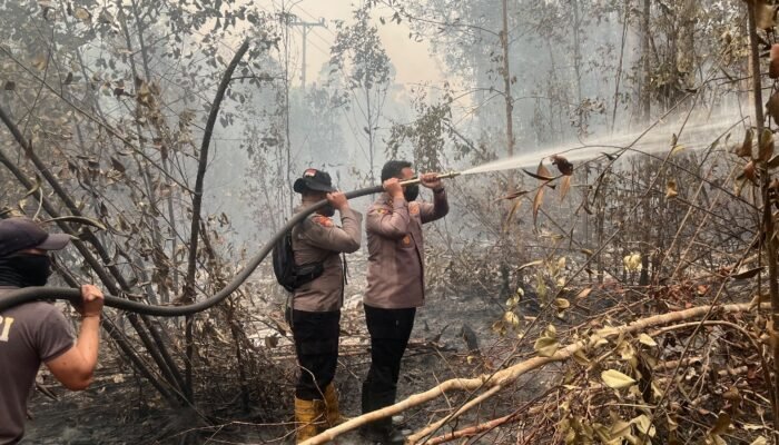 Pantang Pulang Sebelum Padam, Kapolres Barsel Pimpin Langsung Pemadaman Karhutla di Madara