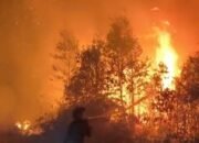 Kabut Asap Pekat Selimuti Barsel, 383 Titik Panas Terdeteksi,  Agus: Karhutla Tak Hanya akibat Kelalaian, Sebagian Diduga Disengaja