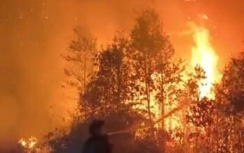 Kabut Asap Pekat Selimuti Barsel, 383 Titik Panas Terdeteksi, Agus: Karhutla Tak Hanya akibat Kelalaian, Sebagian Diduga Disengaja Kabut Asap Pekat Selimuti Barsel, 383 Titik Panas Terdeteksi, Agus: Karhutla Tak Hanya akibat Kelalaian, Sebagian Diduga Disengaja