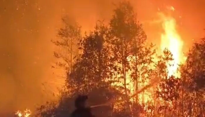 Kabut Asap Pekat Selimuti Barsel, 383 Titik Panas Terdeteksi,  Agus: Karhutla Tak Hanya akibat Kelalaian, Sebagian Diduga Disengaja
