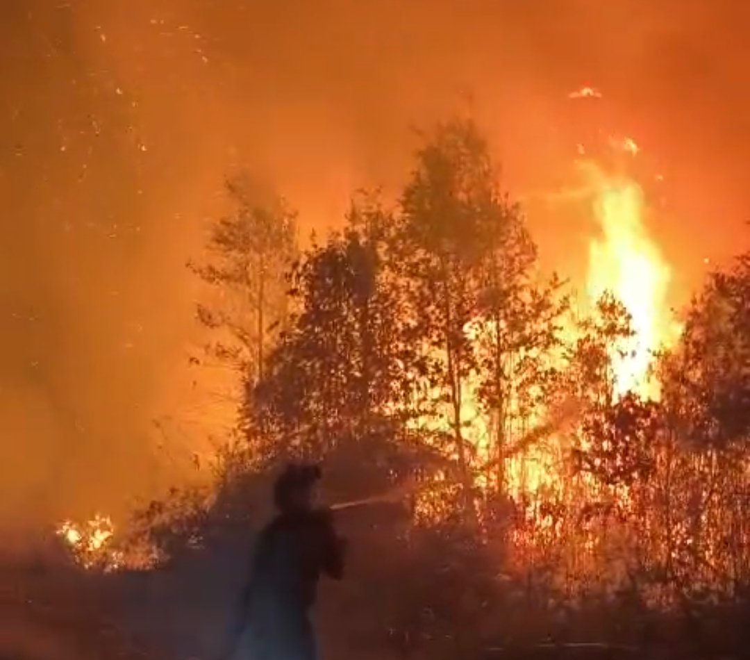 Kabut Asap Pekat Selimuti Barsel, 383 Titik Panas Terdeteksi, Agus: Karhutla Tak Hanya akibat Kelalaian, Sebagian Diduga Disengaja Screenshot 2026 10 09 10 53 48 63 6012fa4d4ddec268fc5c7112cbb265e7