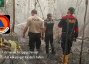 Hotspot Barsel Anjlok dari 97 Menjadi 4 Titik, Kabut Asap Masih Mengancam